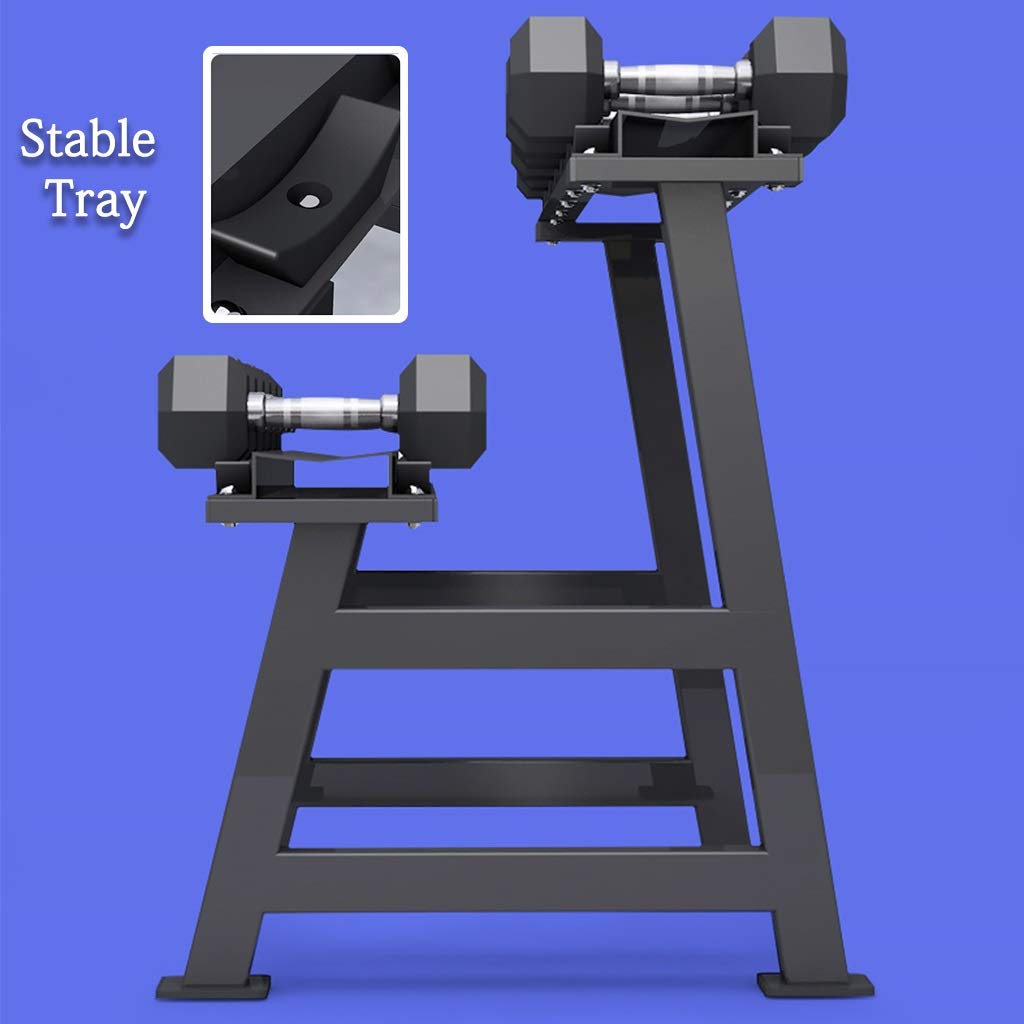 Dumbbell Racks Dumbbell Set with Stand, 2-Layers Dumbbell Rack, Home Weights Storage Rack, Compact Dumbbell Bracket, Easy to Install, Load Bearing 200 KG (Color : Dumbbell Set, Size : 165KG)
