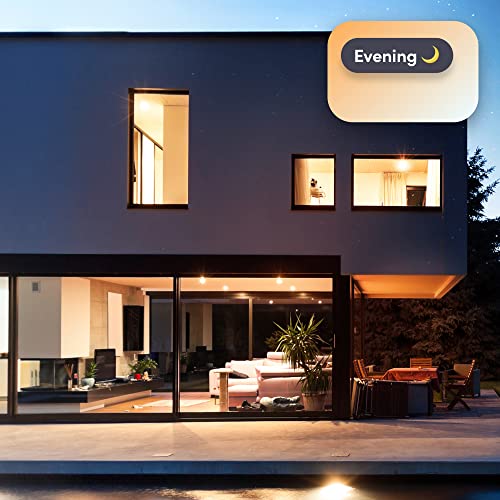 BR30 Smart Light