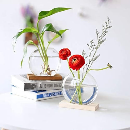 2-Pack, Kingbuy Round Glass Desktop Planter with Wooden Stand - Propagation Station for Small Hydroponic Plants, Spider