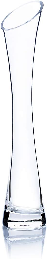 WGV Maria Bud Vase, 2" Width, 10" Height, Clear Slant Cut Opening Glass Floral Container for Decor