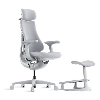 LiberNovo Dynamic Ergonomic Desk Chair + StepSync Footrest Bundle - Comfy Home Office Chair with Adaptive Lumbar Support, 160° Recline & Built-in Spine Stretch, Gray+48cm