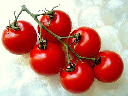 Campari Tomato Seeds - Sweet Vine Variety