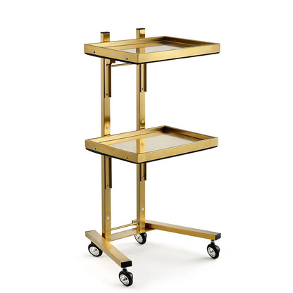 2-Tier Stainless Steel Rolling Cart with Wheels - Versatile Storage Trolley for Kitchen Salon Bedroom & Tattoo Shop -Utility Tray Stand for Easy nization,Golden