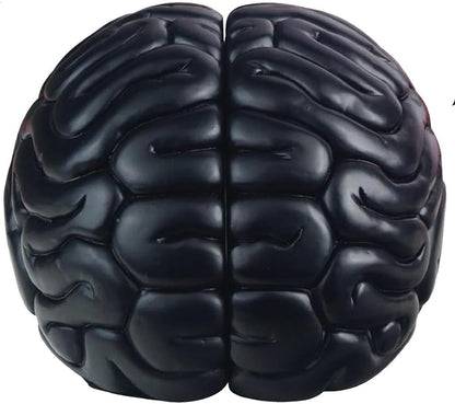 6.5Inch Set Brain Bookends, Tall Brain Decorative Resin Book Shelf Organizers Book Holders Shelf Dividers Book Ends