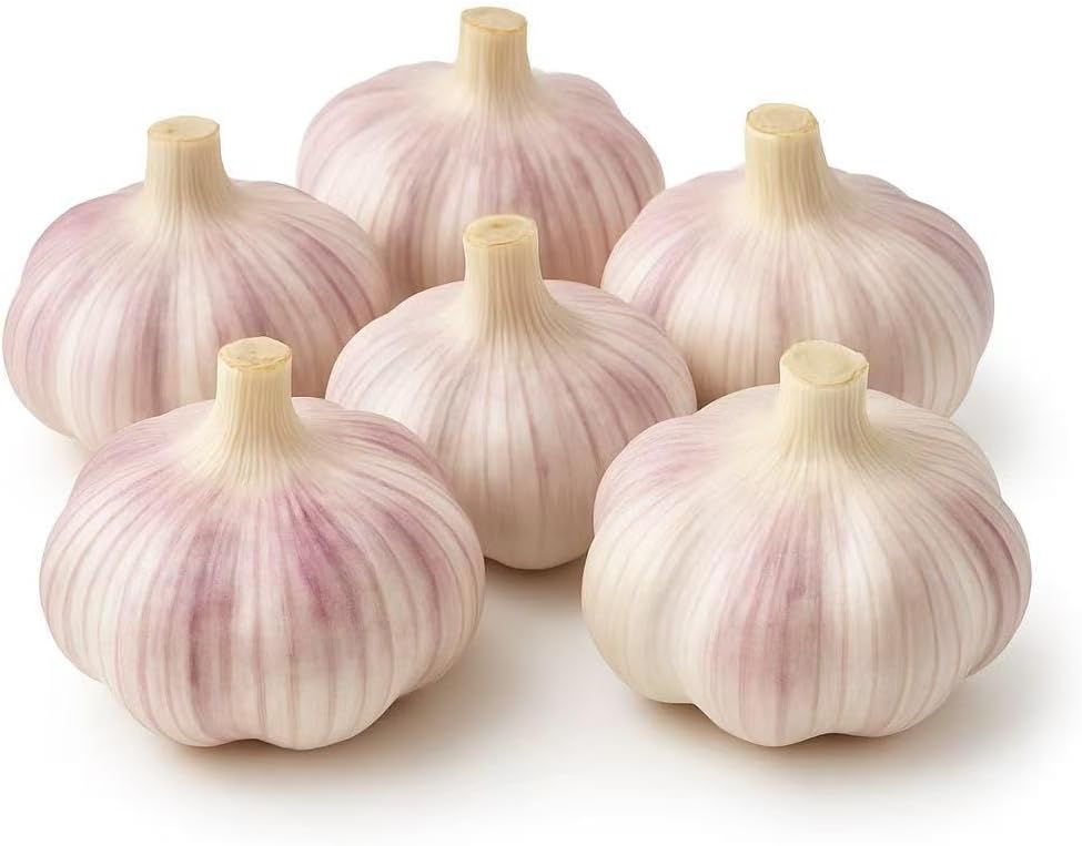 Loseedsoo Bulbs (6 Pack) Garlic for Planting Fresh Hardneck Seed Garlic, Non-GMO Heirloom Cloves for Growing or Cooking