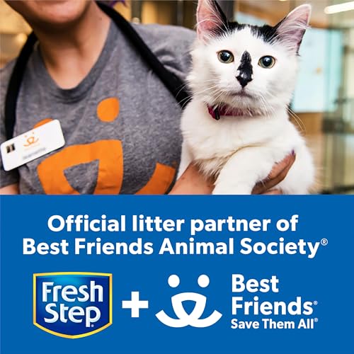 Fresh Step Clumping Cat Litter, Multi-Cat, Long Lasting Odor Control Kitty Litter with Activated Charcoal, Low Dust Formula, 14 lb