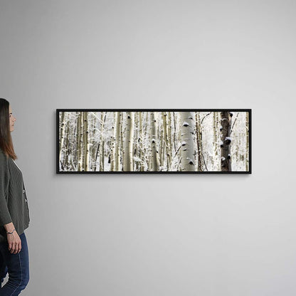 Snowy Birch Trees in a Forest, Aspen, Black Float Frame Canvas Art, Tree Artwork