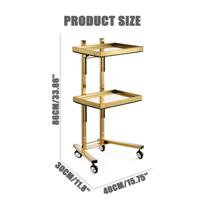 2-Tier Stainless Steel Rolling Cart with Wheels - Versatile Storage Trolley for Kitchen Salon Bedroom & Tattoo Shop -Utility Tray Stand for Easy nization,Golden