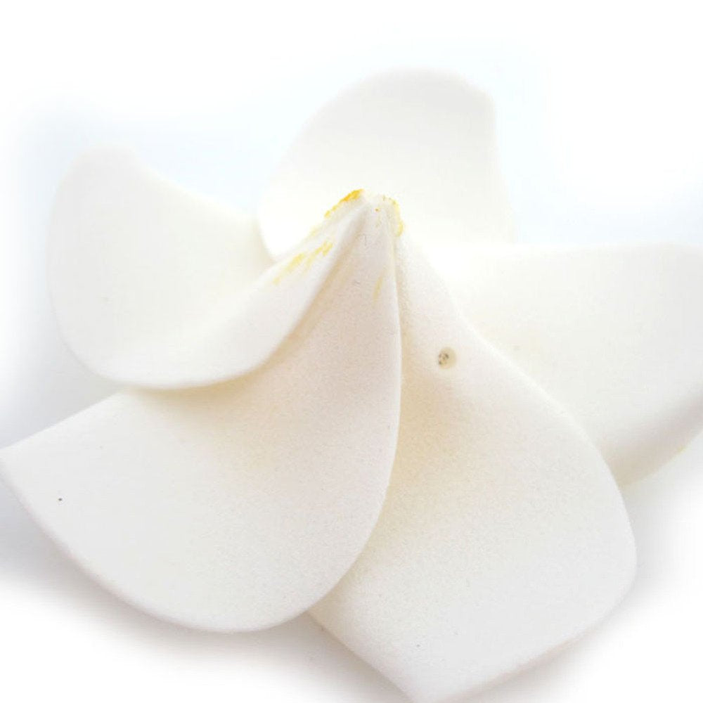 Pursuestar 100Pcs White Foam Hawaiian Frangipani Artificial Plumeria Flower Petals Cap Hair Hat Wreath Floral DIY Home Wedding Decoration 5cm