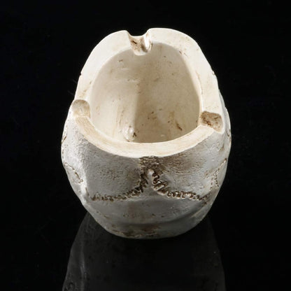 NUOBESTY 2Pcs Halloween Skull Figurines Bowl - Resin Flower Pot Planter Collectible Human Skeleton Statue Ornament