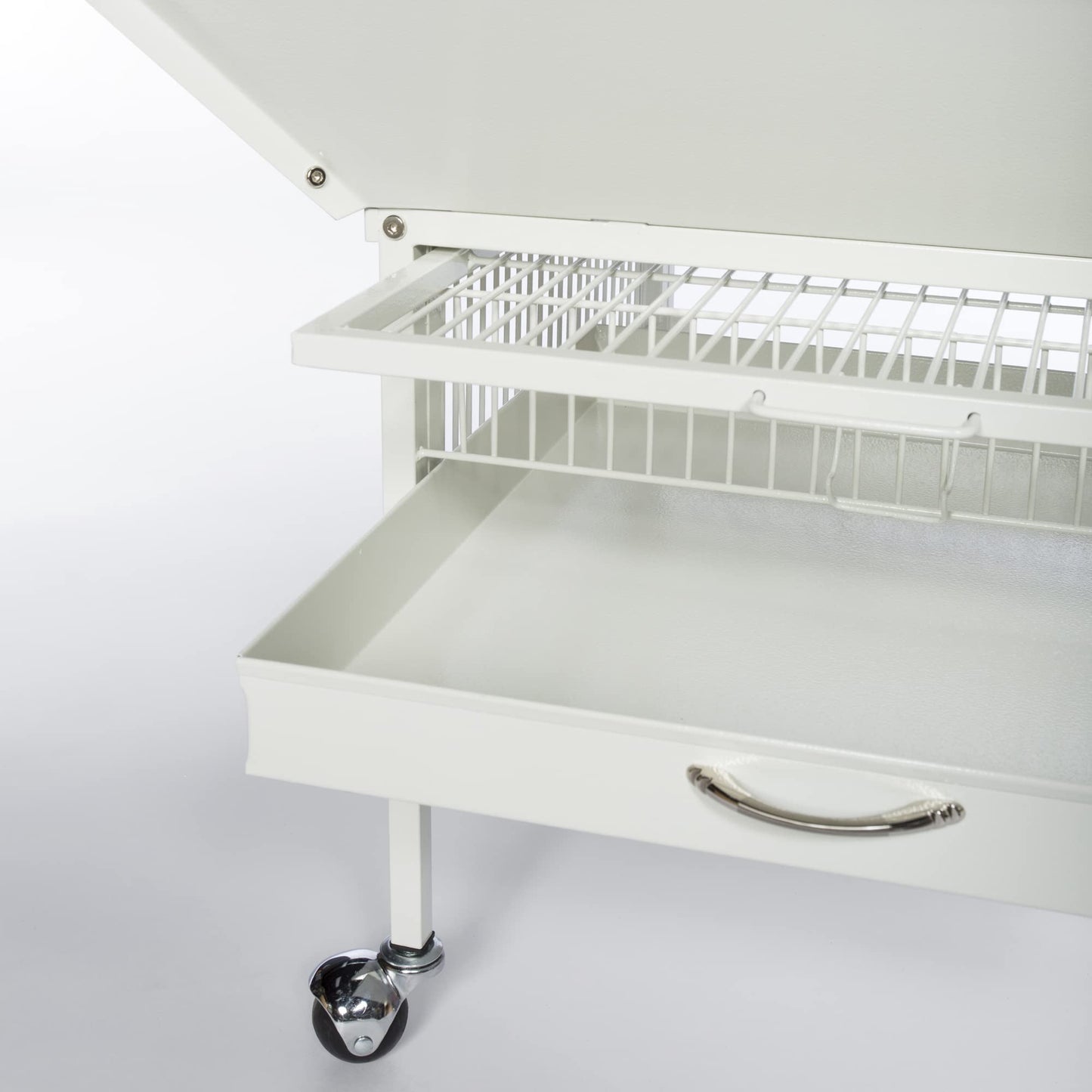 Prevue Pet Products Dome Top Bird Cage - Powder‑Coated Steel Cage with Wheels, Push Button Locks, Seed Guards and Perch, Ideal for Cockatiels, and All Small-Medium Sized Birds - Chalk White