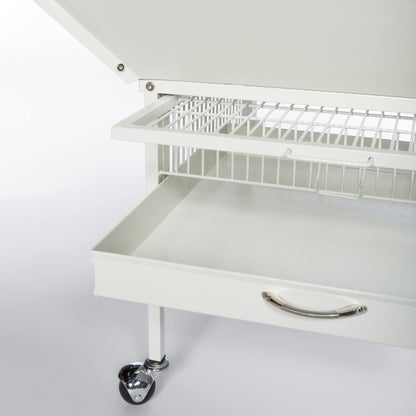 Prevue Pet Products Dome Top Bird Cage - Powder‑Coated Steel Cage with Wheels, Push Button Locks, Seed Guards and Perch, Ideal for Cockatiels, and All Small-Medium Sized Birds - Chalk White