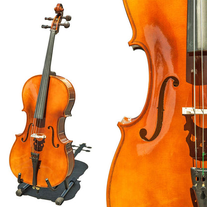 Paititi PTTCE201T Ebony Fitted Oil Finish Solid Wood Cello with Soft Case, Bow, Rosin, Stopper and Mute