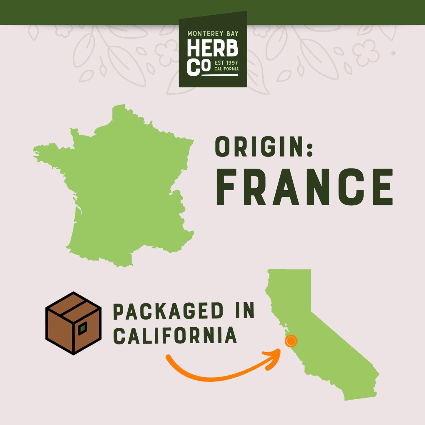 Organic Gentian Root Cut & Sifted, by Herb Co, Gentiana Lutea, Kosher, for Herbal Bitters, Tea Blends, Cocktails & Craft Beer Brewing, 1 lb