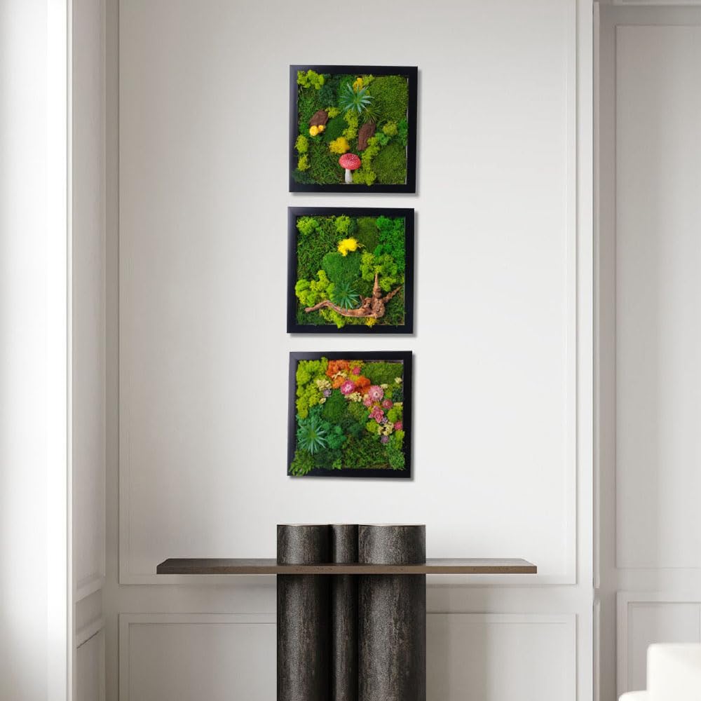 ACADOIT Moss ArtsFrame Crafts for Adults, 11" Home Office Decor Living Wall Hanging Decor