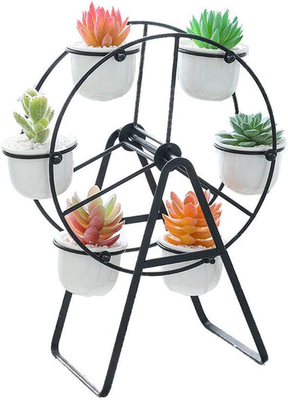 6 Ferris Wheel Plant Stand with Planters Succulent Pots for Home Office Desk Decoration (Black)