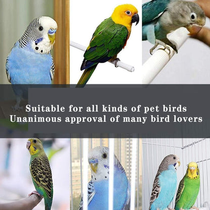 Professional Birdcage Pet Supplies Bird Carrier Gardening Decor Parrot Cages for Large Birds,Decorative Bird Cages Home Decor,Large Household Bird Cage,Luxury Pet Bird Villa(Blue C)