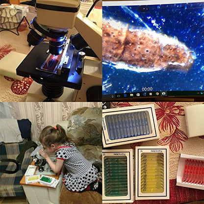 Jiusion 60Pcs Prepared Microscope Slides Specimen Animals Insects Plants Flowers Sample Biological Specimen, Stereo Microscope Slide for Kids Children Students Enlighten Education