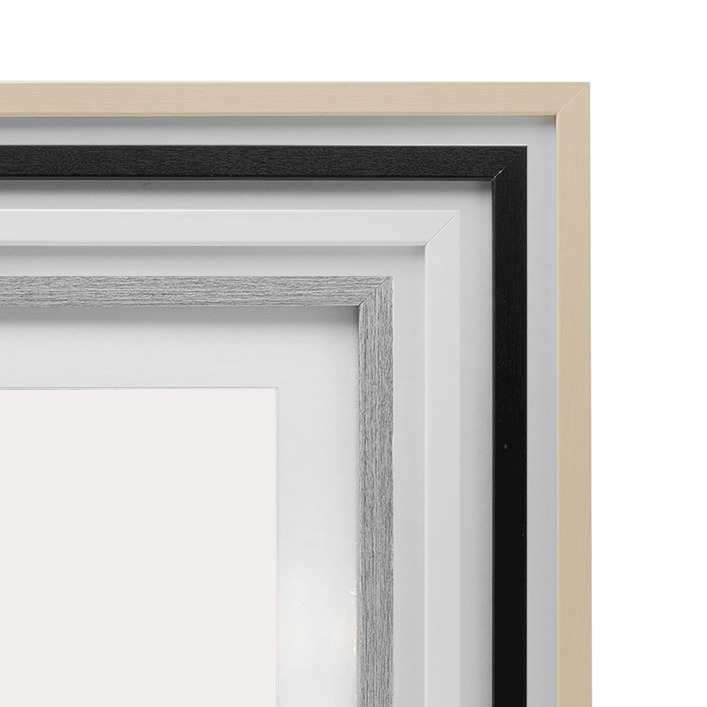 Stupell Industries Simple Pressed Flowers Gray Framed Print Under Glass, design by Lettered and Lined, 16 x 13