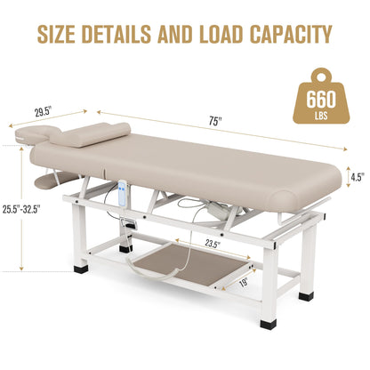 Dolonm 30 Wide x 75 Long Heavy Duty Electric Stationary Massage Table with Backrest Adjustable and Storage Space for Treatment/Medical Spa/Facial/Beauty/Massage Bed and More - Beige Gray