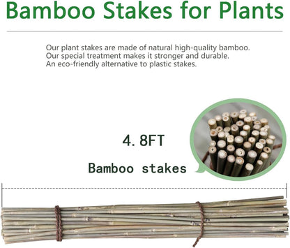 Bamboo Stakes - Eco-Friendly Plant Support Poles | 50-Pack, 4.8FT Height for Tomatoes, Beans & Flowers