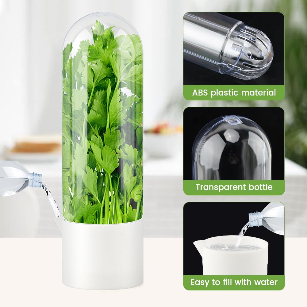 DiQiRenQin 3 Pack Cilantro Container for Fridge, Vertical Herb Keeper for Refrigerator, ABS Herb Saver for Fresh Herbs (Parsley, Mint), White