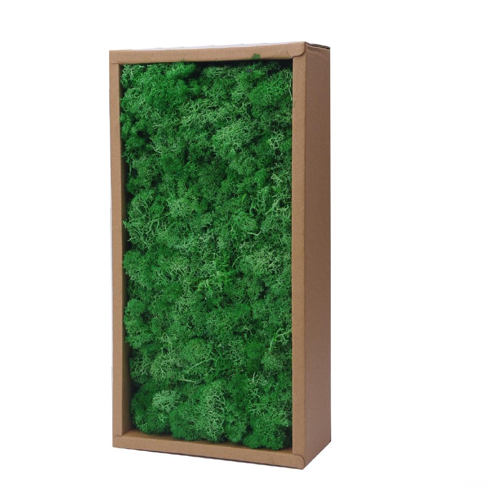 Preserved Reindeer Craft Moss-17.6oz Natural Green DIY Kit Gardenning Art Wall Florist Moss Terrariums Gardenning Decor Landscape Garden Decor(Leaf Green 17.6 OZ)