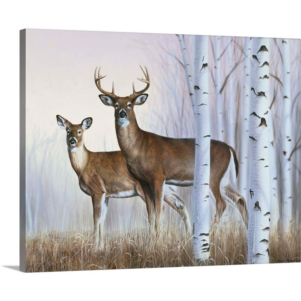 CANVAS ON DEMAND Deer in Birch Woods Canvas Wall Art Print by Rusty Frentner, Contemporary, Home Decor, Buck, Cervine Artwork,45" x36in