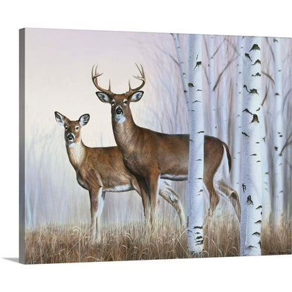 CANVAS ON DEMAND Deer in Birch Woods Canvas Wall Art Print by Rusty Frentner, Contemporary, Home Decor, Buck, Cervine Artwork,45" x36in