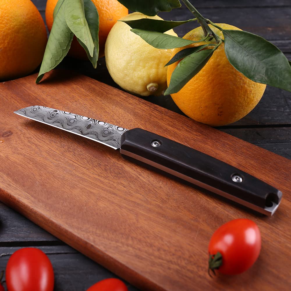 WILDMOK Paring knives Stainless Steel 3.2 Inch Utility Knife Full Tang Fruit Vegetable Cutting Carving Kitchen Knife with Leather Case (A)