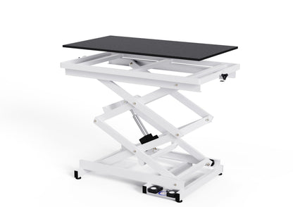 Flying Pig Heavy Duty Super-Low Electric Lift Dog Grooming Table