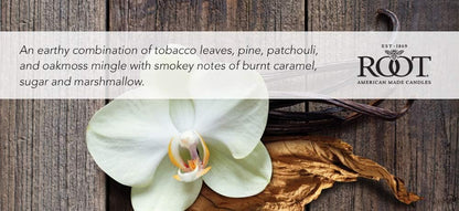 Root Candles Honeycomb Traveler Scented Beeswax Blend Candle in Tobacco Vanilla, 4-Ounce