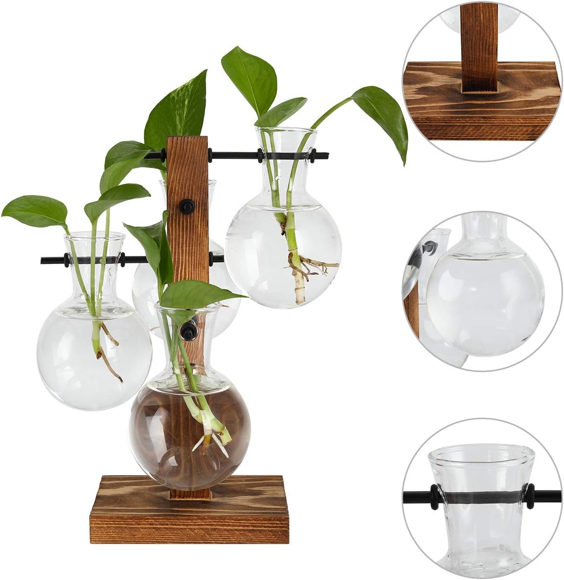 4 Bulb PAG Planter Terrariums Kit Desktop Hydroponics Air Plant Holder with Beaker Glass Vase and Solid Wood Stand