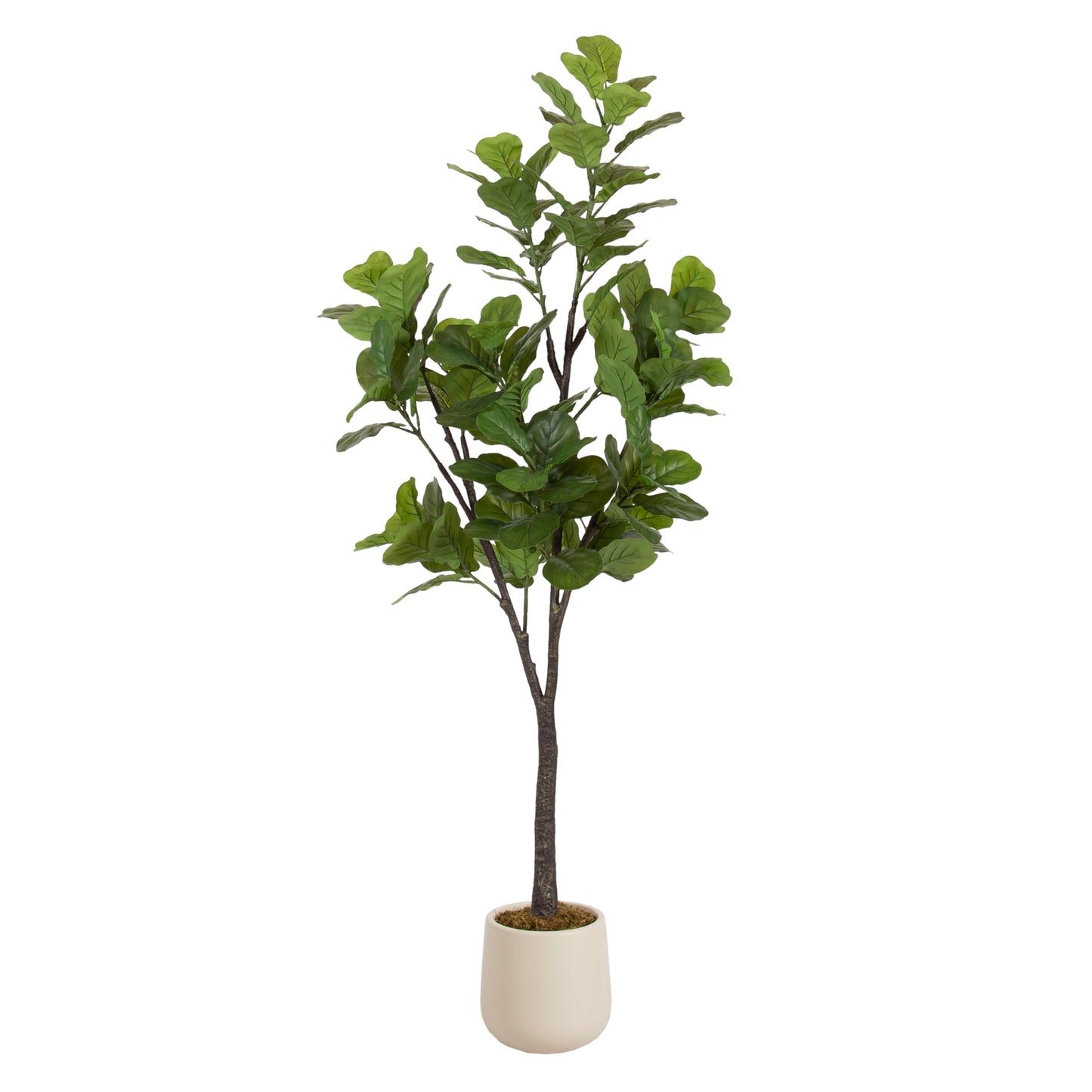 Kate and Laurel Fidmont Faux Fiddle Fig Tree with Jia Curved Planter Pot, 6 FT, Cream, Potted Artificial Tree Indoor with Realistic Foliage and Added Moss, Fake Plant for Living Room Decor