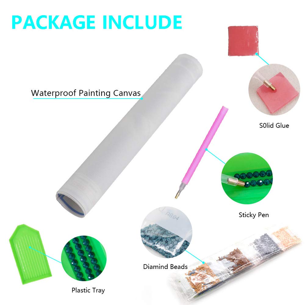 MMAHD Diamond Art Painting Kits for Adults,DIY 5D Round Full Drill Film Characters Diamond Art, Perfect for Relaxation and Home Wall Décor(11.8×15.8Inches)