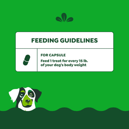 Greenies Pill Pockets for Dogs Large Size, Soft Dog Treats, Chicken Flavor, 15.8 oz. Pouch (60 Treats)