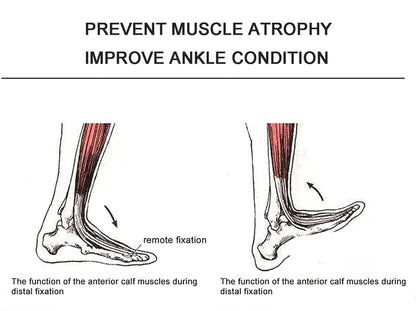 Ankle Joint Rehab Training Equipment,Ankle Post-Operative Trainer,Foot Rehabilitation Training Equipment,Static Stretch Correction Electric