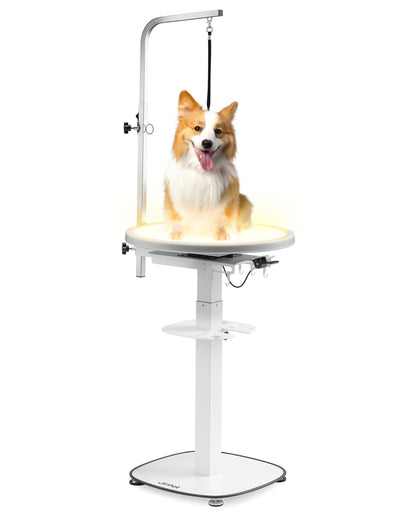 JirPet Pet Grooming Table with Full-Surface Lighting for Small Dogs, Hydraulic Lift, Designed for Long-Term Use, Over 50,000 Lifts, 32in-46in Height Adjustable, Stable Base, Hair-Resistant