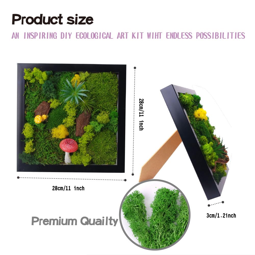 ACADOIT Moss ArtsFrame Crafts for Adults, 11" Home Office Decor Living Wall Hanging Decor