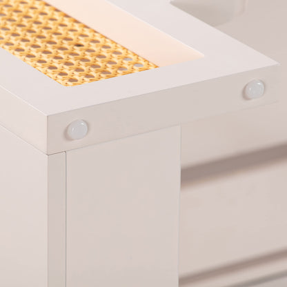 Tov Furniture Suzie Rattan Executive Desk (Cream)