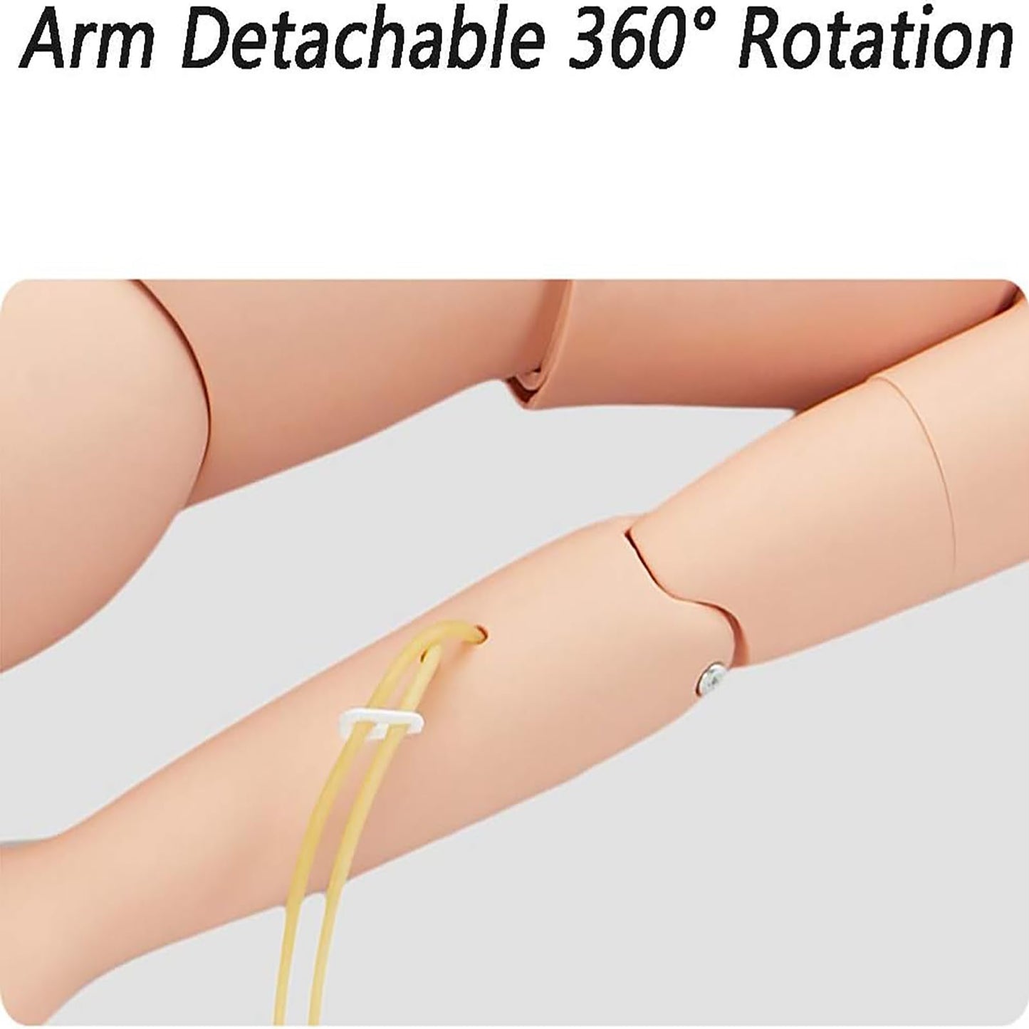 Nursing Skills Training Manikin Medical Mannequin for Training, Medical Mannequin for Training for Clinical Skills Training and Patient Care Teaching Education Pratice (Male)(Female)