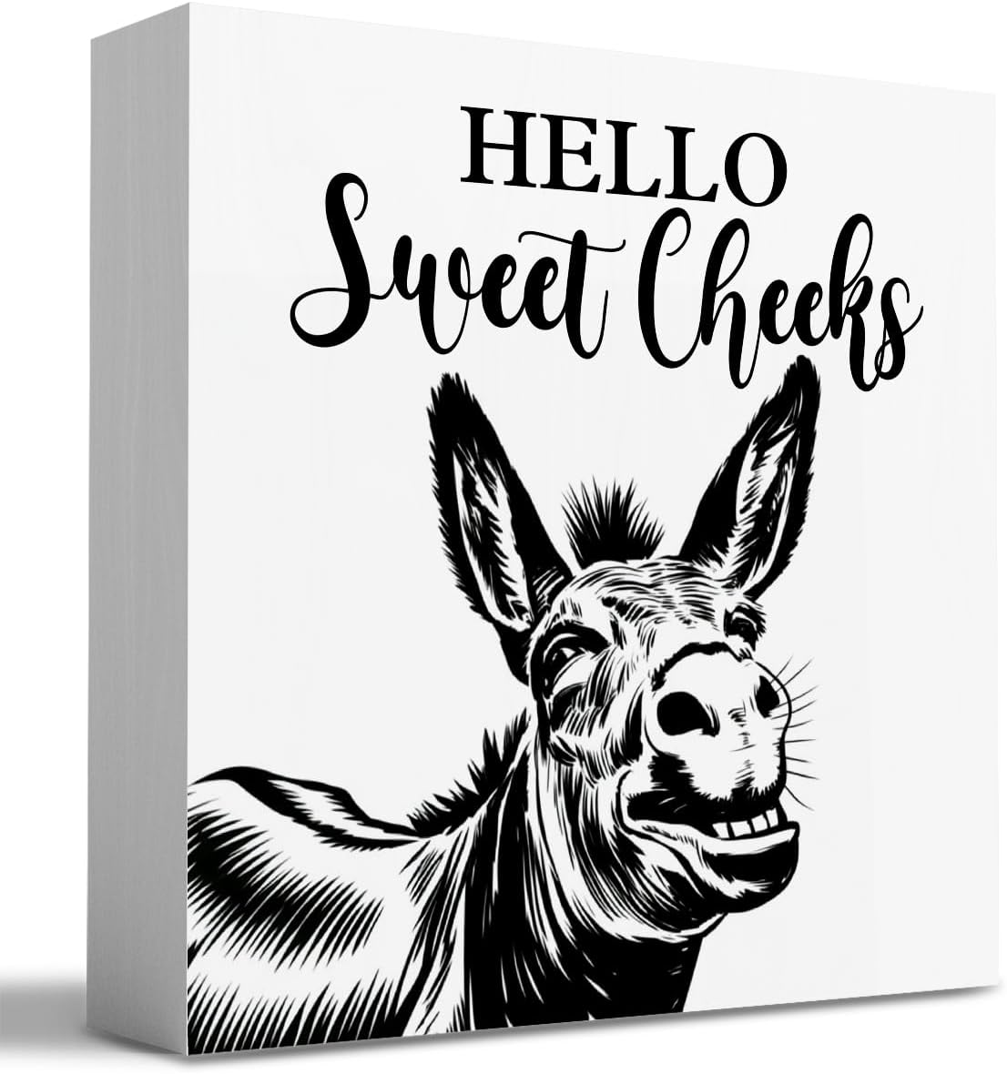 HTBIG 5 5 Inch Funny Donkey Bathroom Wooden Box Decor Hello Sweet Cheeks Wooden Box Logo Put It on a Bathroom Corner