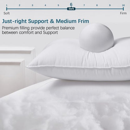 FROHAUL Pillows Queen Size Set of 4, Grid Hotel Bed Pillows for Sleeping,Medium-Firm Microfiber Pillows for Side, Back and Stomach Sleepers