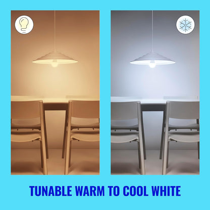 WiZ 60W A19 Tunable White LED Smart Bulb - Pack of 6 - E26- Indoor - Connects to Your Existing Wi-Fi - Control with Voice or App + Activate with Motion - Matter Compatible