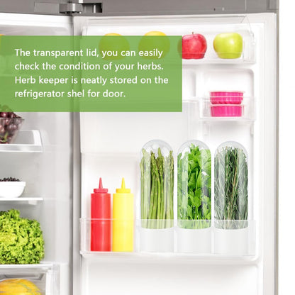 Yuanfenron Herb Keeper for Refrigerator with Herb Peeler - Herbs Saver & Vegetable Preservation Container, Extends Freshness Up to 2-3 Weeks for Cilantro, Basil, Parsley, Mint & Greens