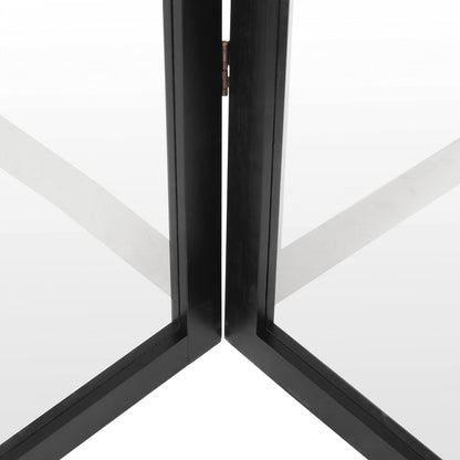 Red Lantern 6 ft. Tall Clear Plastic Partition Black 3 Panel
