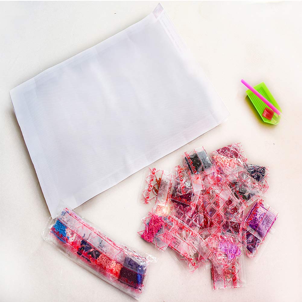 HUANNY Diamond Painting Kits, DIY Diamond Art, Full Drill Cross Stitch Canvas Art