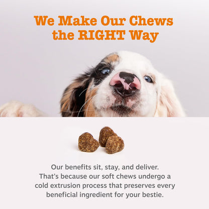 Zesty Paws Dog Allergy Relief - Anti Itch Supplement - Omega 3 Probiotics for Dogs - Digestive Health - Soft Chews for Skin & Seasonal Allergies - with Epicor Pets - Bison - 90ct