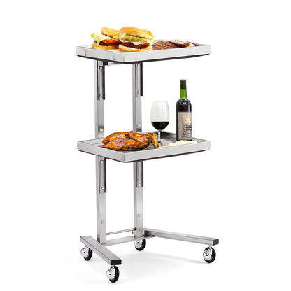 2-Tier Metal Rolling Cart, Stainless Steel Storage Trolley with Wheels, Utility Kitchen Stand for Bedroom, Salon, Tattoo Shop, and More