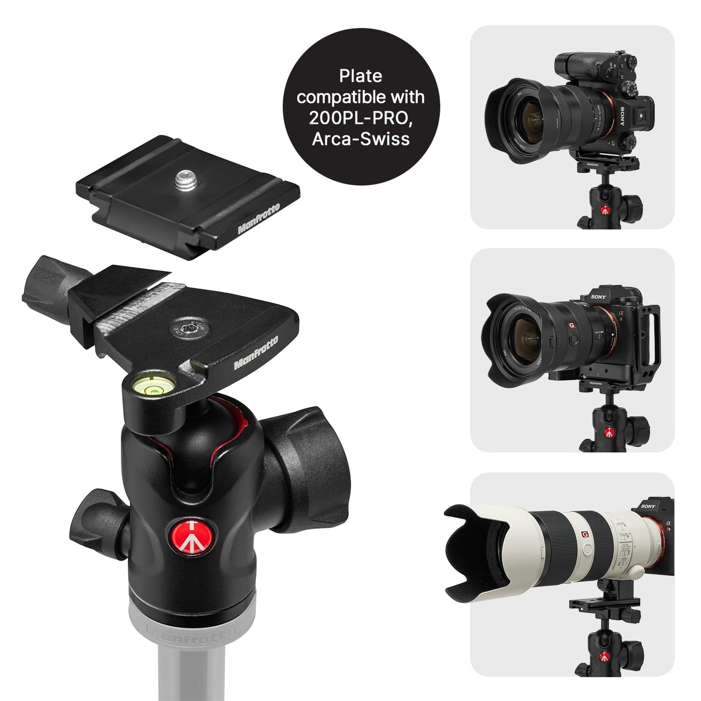 Manfrotto Befree Advanced AS, Camera Travel Tripod Kit, Twist Lock, Compatible with Arca-Swiss, Portable and Compact, Ball Head, Carbon Tripod for DSLR, Mirrorless, Camera Accessories